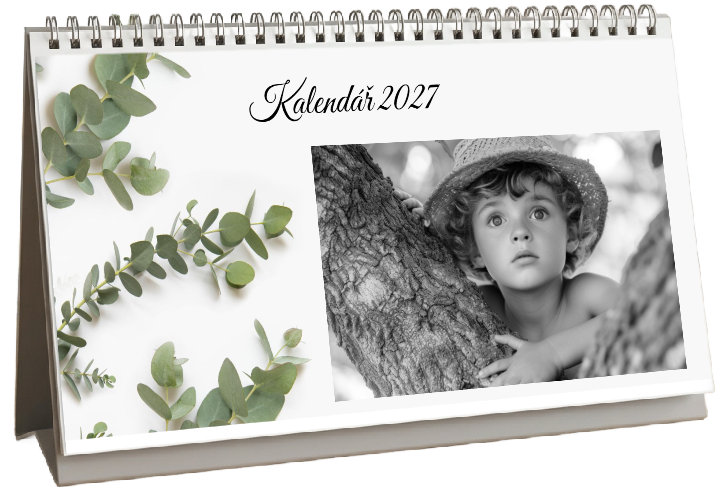 Eucalyptus - 2027